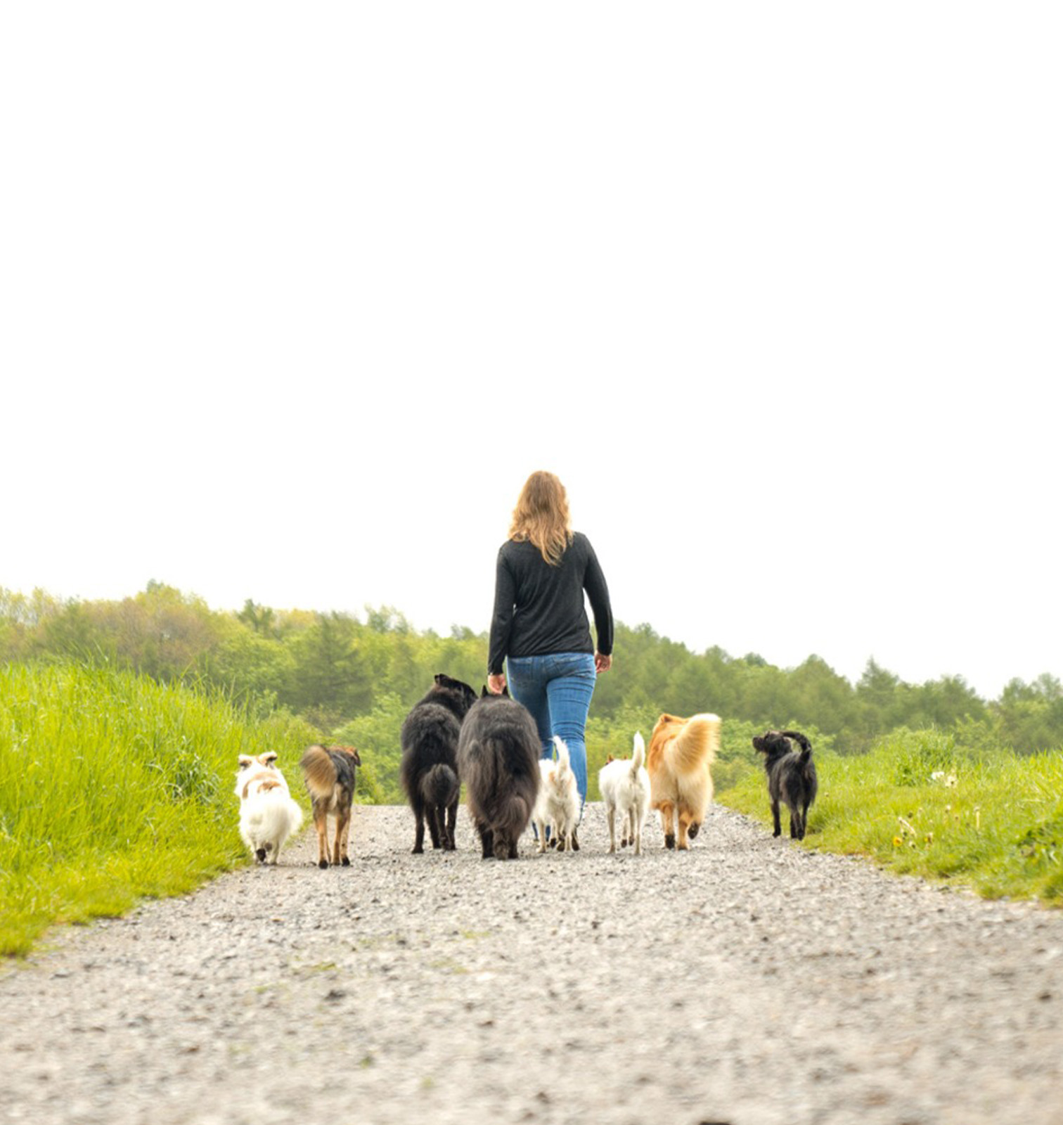 Socialwalk1